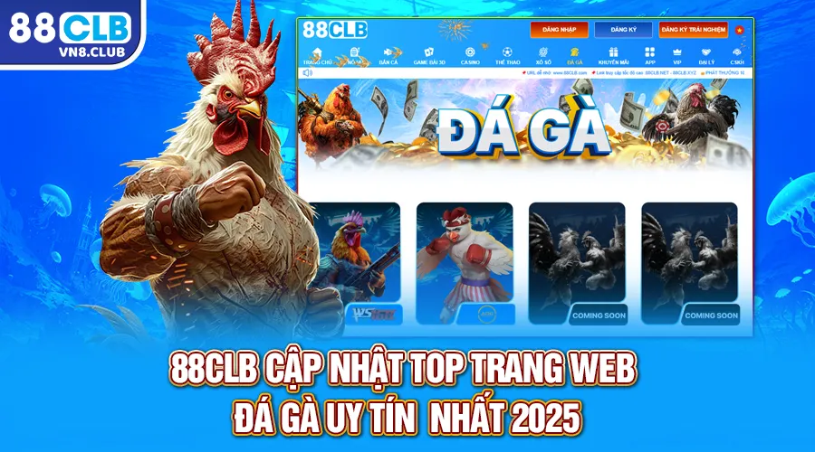 Top trang web đá gà uy tín được chơi nhiều nhất