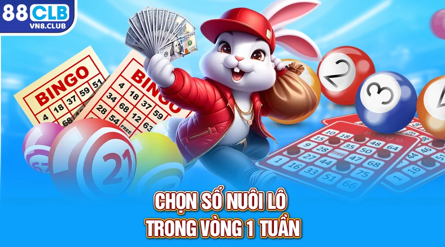 Chọn số nuôi lô trong vòng 1 tuần