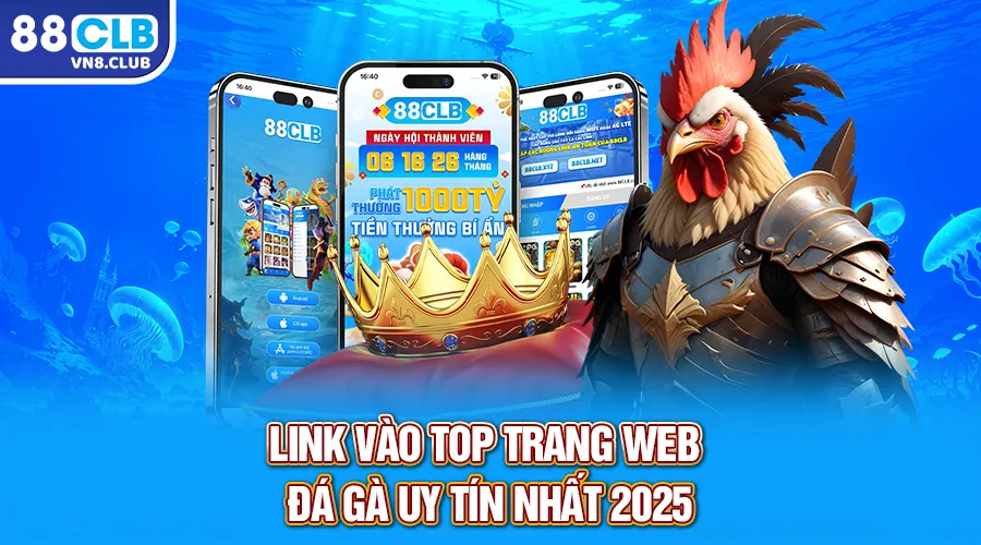 Link vào top trang web đá gà uy tín nhất 2025