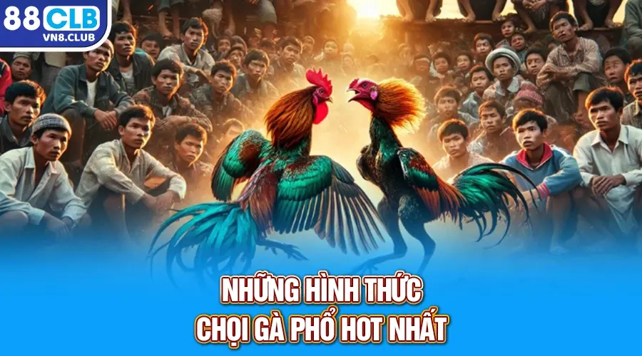 Những hình thức chọi gà phổ hot nhất