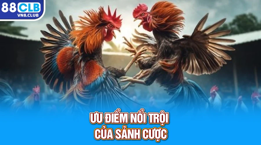 Ưu điểm nổi trội của sảnh cược